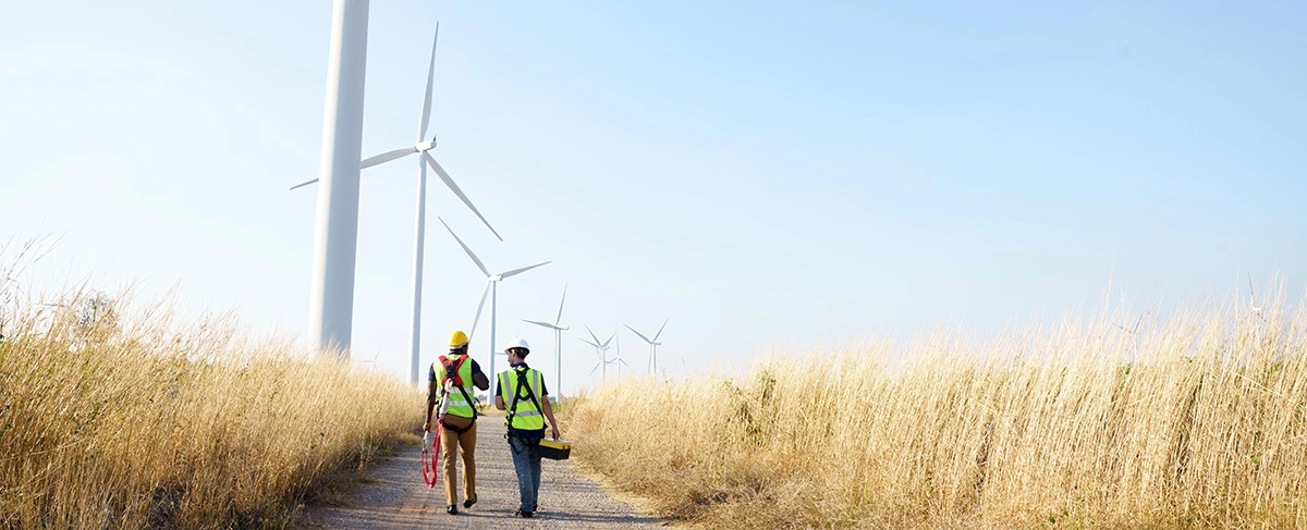 Wide perspective of wind turbine engineers walking with coworker in wind farms